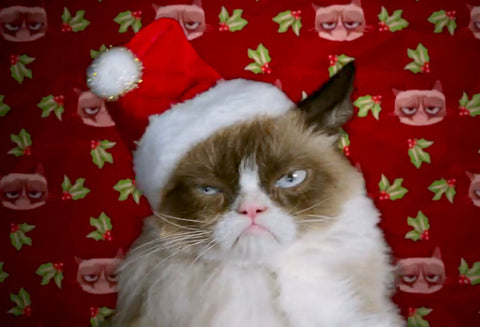 Grumpy Cat In A Hat